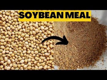 Premium Soybean Cake from Kyivgrandagro Premium Soybean Cake - Kyivgrandagro - Ukraine