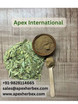 Senna Extract 10% USP , Senna Extract USP, Dry Senna , Senna Leaf Extract, Cassia Angustifolia ExtractSenna Extract , Senna Extract Bulk Supplier From India - APEX INTERNATIONAL - India