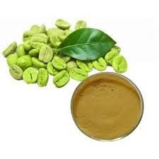 Green coffee beans Extracts powder Delivery Form Bag, Drums - SHREE SAI BIOTECH - India