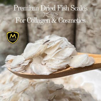 Premium Dried Fish Scales – For Collagen & Cosmetics Size 1.5 cm up Packaging 20kg/PP-PE - KIM MINH INTERNATIONAL - Vietnam