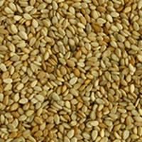 Sesame Seed - Mach Integrated Services Nig. Ltd - Nigeria
