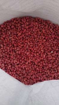 peanuts - Freeze Dried Fruit LTD - Uzbekistan