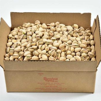 Pistachio Roasted and Salted 1 kg Pistachio Kernels with Shell, Whole Pistachio Nuts in Resealable Fresh Bag - Smart Agri GmbH - Germany