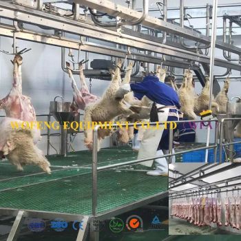 Slaughterhouse Slaughtering Equipment for Pigs Cattle and Sheep - Qingdao Wofeng Equipment Co., Ltd. - China
