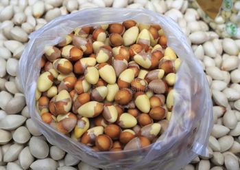 From Tree to Table: Ginkgo Nuts Source Tree Flavor Unique Grade Top Grade Shelf Life 1 Year Nutritional Value High Harvest Method Direct From Nature - Mutlu Et Mustafa - France
