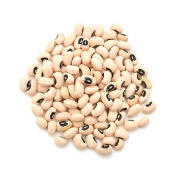 Natural Black Eye Beans White Cowpea New Crop Bulk Wholesale - Balingi Trading Company (PTY) Ltd - South Africa