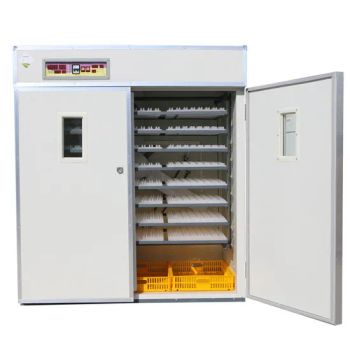 Automatic Quail Egg Incubator Hatcher Machine with Spare Parts - KANGAS INDUSTRIAL CO., LTD. - China