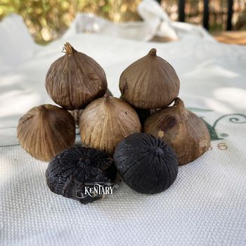 Kentary Solo Black Garlic - TERRAMINER GROUP,INC - United States