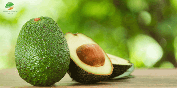 Hass Avocado from kenya – product photo, Fresh Hass Avocado products found from trusted suppliers, wholesalers, manufacturers & exporters Listing