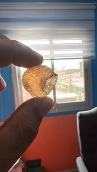Arabic Gum - Knam Foods Pvt LTD - United Arab Emirates
