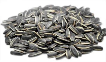 SUNFLOWER SEED - Agroral import export srl - Romania