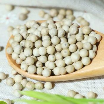 Premium High Quality White Pepper 1298mtn - Abdullah - Indonesia