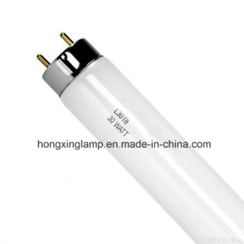 T8 Fluorescent Tube 36W Fluorescent Lamp Model NO. T8 Voltage 220V Principle CFL Origin Haining Trademark XUSHI HS Code 8539319900 - Haining Xushi Bulb Factory - China