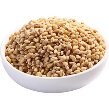 Best Quality Barley for Animal Feed and Human Consumption from AK.BOLO MEDIK LTD Best Quality Barley for Animal Feed and Human Consumption - AK.BOLO MEDIK LTD - Thailand