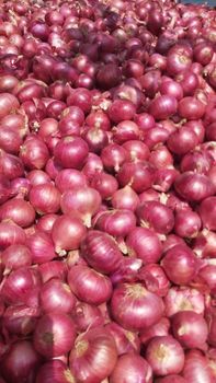 Red Onion - ABS Commercial  - South Africa