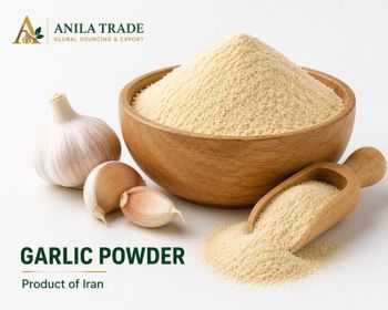 Garlic powder - Anila Trade - Iran
