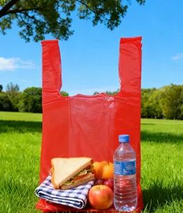 Eco-Friendly Customizable Plastic Storage Bags for Easy Organization - Quanzhou Hualong Plastic Cement Co., Ltd. (Nanan) - China