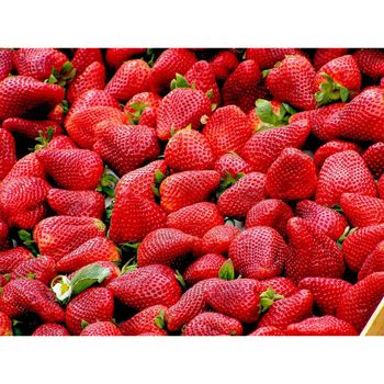 Fresh Strawberry / seedless strawberries Cultivation Type Organic Specification Fresh Strawberry Varieties Honey, A13, Sweet Charlie, Mibao, All Star - malter group - Tanzania