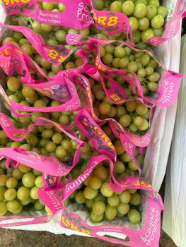 USA Grape ( Auttum crisp, Midnight, sweet globe, red globe) Origin Usa Organic No, Yes Color Black, Green, Red - MAJESTIC ORCHARD - United States