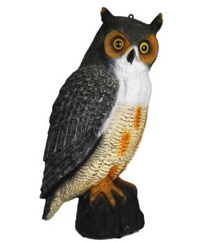 Full Body Plastic Fake Replica Hunting Decoy for Garden Ornament Repellent - Ningbo Hongbao Import & Export Co., Ltd. - China