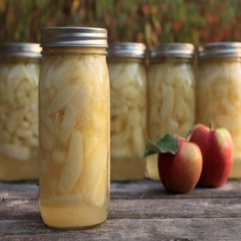 Delicious Canned Apple in Syrup Offering Soft Fruit Texture and Sweet Syrup for Desserts Snacks from TRADECENTRIC LLC Delicious Canned Apple in Syrup Offering Soft Fruit Texture and Sweet Syrup for Desserts Snacks - TRADECENTRIC LLC - United States