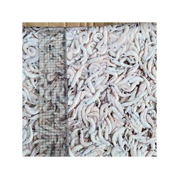 Korea wholesale price export high quality frozen krill top quality Antarctic krill fish bait Krill shrimp - NEW JIREH CO., LTD. - South Korea