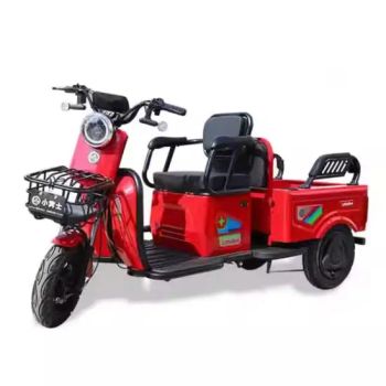 CE Approved Customized Design Scooter Powerful 600W Rear Hub Motor 48V Aluminum Frame Electric Passenger Tricycle 3-Wheel Foldable Pedicab with Rear Seats - Freyja Link Co., Ltd - China