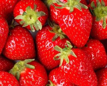 Strawberries Texture Soft Aroma Fragrant Color Bright Red Packaging 25kg-50kg Flavor Sweet And Tangy Seed Coverage Covered With Small, Edible Seeds - Jaishnavi Exports - India