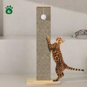 Cat Scratcher Paper 16x12x24cm Custom Color MOQ32 1Y MOQ 32PCS Origin China Material Paper Season All-Season Type Cat Scratcher - Rizhao Spring Trading Co., Ltd. - China