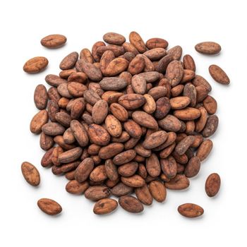 Whole Cocoa Bean With Robust Taste And Uniform Size Ideal For Chocolate Manufacturers Worldwide from THE GREEN INTERNATIONAL LIMITED Whole Cocoa Bean With Robust Taste And Uniform Size Ideal For Chocolate Manufacturers Worldwide - THE GREEN INTERNATIONAL LIMITED - Tanzania