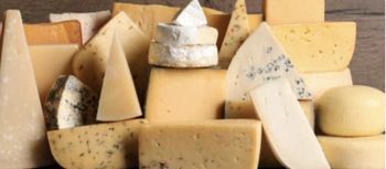 Mozzarella cheese - Neo Palates Pvt Ltd - India