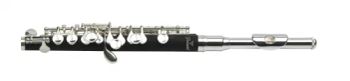 Sythetic Wood Piccolo Flute, Cheap Musical Instrument - Jin Ming Musical Instruments Co., Ltd. - China