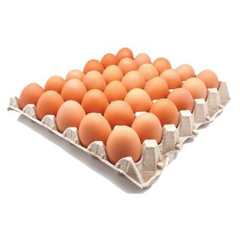 Fresh Table Eggs Hygienically Produced With 100% Natural Feed Premium Table Eggs Delivered Safely To Buyers - malter group - Tanzania