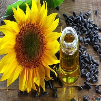 High Quality 100% Refined Sunflower Oil Food Grade Edible Cooking Oil Pure Vegetable Oil for Sale Export-Preferred - Carla Pisselli Commercio - Brazil