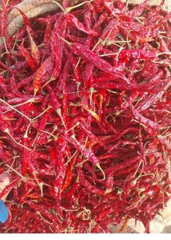 DRY RED CHILLI Delivery Form Bag - Evermark Industries - India
