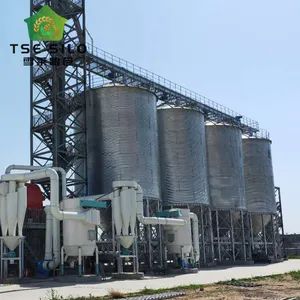 Hopper Bottom Grain Silo with Ventilation for Wheat Shape Silos Usage Solid Origin China Trademark TSE Material Steel Warranty 1 Year - Shandong Shelley Grain Steel Silo Co., Ltd. - China