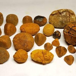 CATTLE GALLSTONES, OX GALLSTONES, COW GALLSTONES from Agroral import export srl CATTLE GALLSTONES, OX GALLSTONES, COW GALLSTONES - Agroral import export srl - Romania