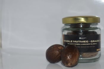 Nutmeg in Shell (Whole Nutmeg Grade A), Premium Nutmeg Origin Indonesia Form Whole Nutmeg Processing Method Sun-dried Type Dried nutmeg seed with shell intact - PT ADYTERRA AGRINDO GLOBAL - Indonesia