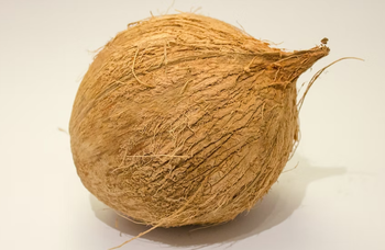 Premium Quality - Semi husked Coconut - Export Quality - for Global Wholesale buyers – product photo, Fresh Semi-Husked Coconut products found from trusted suppliers, wholesalers, manufacturers & exporters Listing
