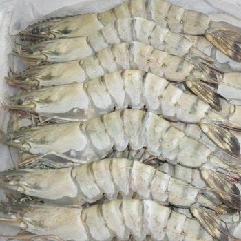 Frozen Prawns Farm Raised And Ocean Processed Seafood For Frozen Seafood Importers Wholesale Buyers And Distributors - TOSOH INTERNATIONAL - South Africa