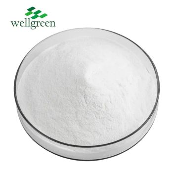Wellgreen High Quality Hyaluronic Acid Powder Cosmetic Raw Material Sodium Hyaluronate - Wellgreen Technology Co., Ltd - China