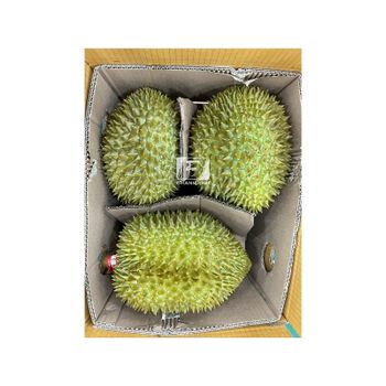 Frozen Fruit From Vietnam Frozen Durian Best Export From Sweet Taste Year Round Season Vietnam 24 months Shell Life - CHANH THU EXPORT AND IMPORT FRUIT COMPANY LIMITED - Vietnam
