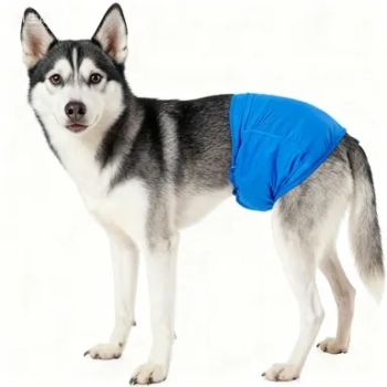 Disposable Pet Diaper Pet Products Wholesale Good Quality MOQ 10000 Style Cartoon Sap Japan Sap Feature Printed Type Disposable - Guangdong Lechen Sanitary Products Co., Ltd. - China