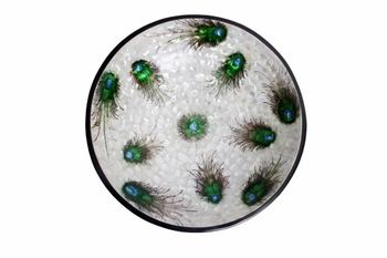Serving Bowls Mother Of Pearl Handmade Yes Dishwasher Safe Yes Finish Superb Finish Brand Indian Kalakari Color Black And - Zoiks - India