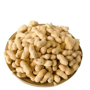 High Quality Peanuts Shelled Kernels With Natural Taste Suitable For Roasting Baking Cooking Snack Making – product photo, In-Shell Peanuts products found from trusted suppliers, wholesalers, manufacturers & exporters Listing