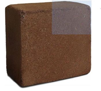 Cocopeat Block - Bio Ingredients - Bangladesh