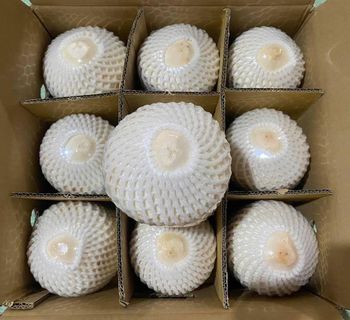 Fresh Coconut – product photo, Fresh Coconut Water products found from trusted suppliers, wholesalers, manufacturers & exporters Listing