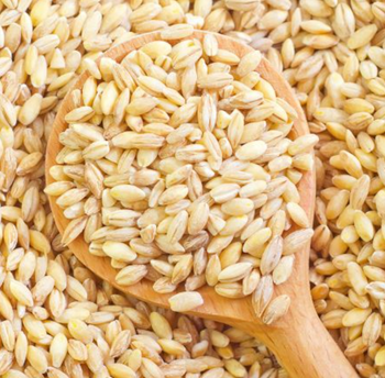 Untreated, non-GMO wheat - Raphael stanly industries - United States