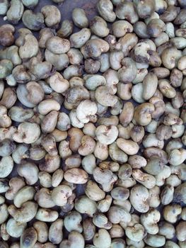 Cashew nuts - J. Kwabla kwanair Ltd - Ghana