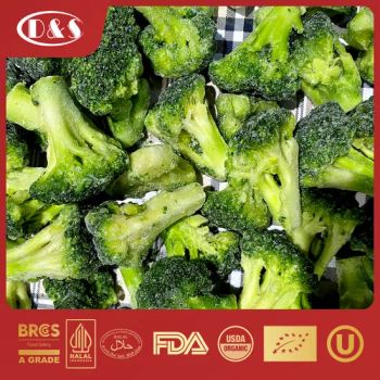 Wholesale with Best Price IQF Frozen Broccoli GMO Free Crop 2023 Kind Frozen Color Green Balanced No Origin China Model NO. - QINGDAO DEESHENGHENGXIN FOOD CO., LTD. - China